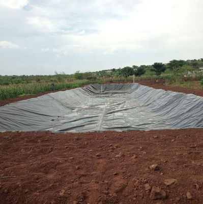 500 Microns HDPE Geomembrane Fish Pond Liner para impermeabilização e impermeabilização