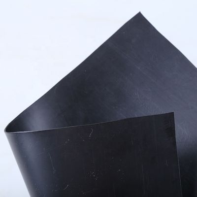 0.940g/cm3 Densidade de peixe Liner de lago para 500 Microns Geomembrana de HDPE Design tradicional
