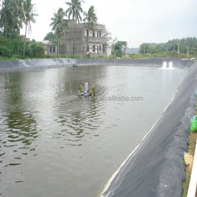 Geomembrana de HDPE preto ecológico para lagoas de peixes ASTM GRI-GM13 Standard