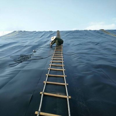 ASTM GRI-GM13 Geomembrana de HDPE de 1 mm padrão para aplicações em lagoas de peixes e aterros sanitários