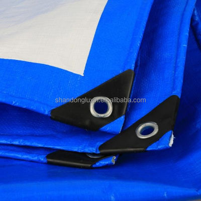 Tela PE de peso leve azul-prata com densidade de pálpebras 6*6-16*16 no mercado do Vietname