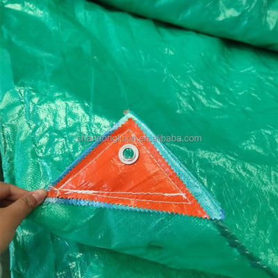 Pedido do cliente Cor Estriada Estilo Tela pesada PE com função impermeável