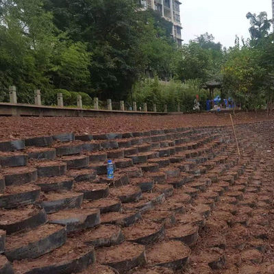 330mm-1000mm Distância de solda Geocell Paver de rede de solo para pista de cascalho Honeycomb