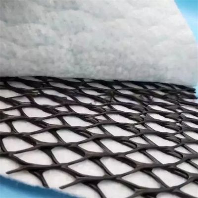 Largura 2m-4m Geotextil composto Plásticos Geonet Rede de drenagem para soluções de projetos