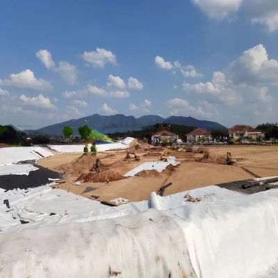 Largura 2m-4m Geotextil composto Plásticos Geonet Rede de drenagem para soluções de projetos