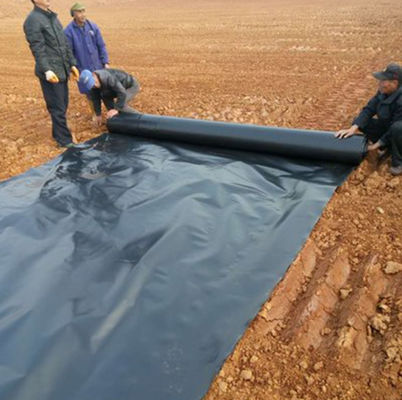 Capacidade de solução do projeto Geomembrana de HDPE para piscifaz Liner de lago 1mm espessura