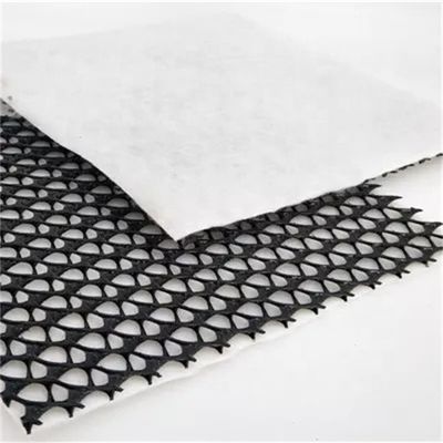 Rede de drenagem composta triplanar de plástico Hdpe 3d Rede Geonet para comprimento personalizado