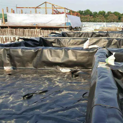 Geomembrana dupla de HDPE lisa para piscicultura, aquicultura, revestimentos de lagoas e revestimentos de barragens