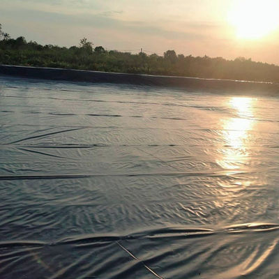 Solução Profissional Liner de lagoa de peixe Membrana de impermeabilização de HDPE para projeto de modelo 3D