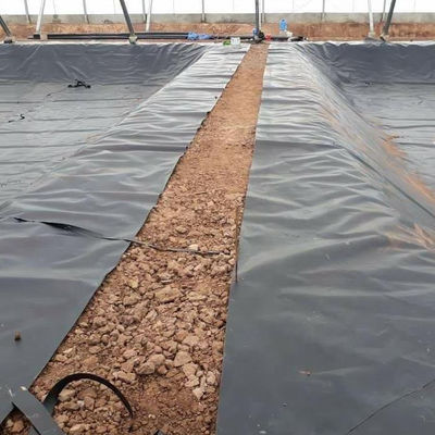 Solução Profissional Liner de lagoa de peixe Membrana de impermeabilização de HDPE para projeto de modelo 3D
