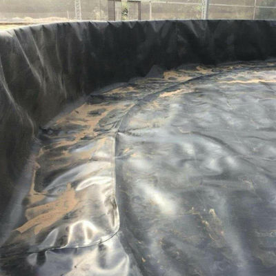 Solução Profissional Liner de lagoa de peixe Membrana de impermeabilização de HDPE para projeto de modelo 3D