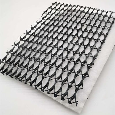 HDPE Mesh 3D Drainage Composite Composite Geo Net Geonet para Reservatórios comprimento 100m