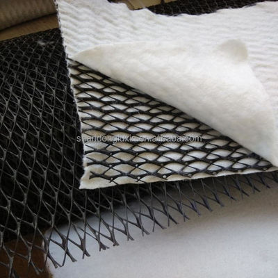 HDPE Mesh 3D Drainage Composite Composite Geo Net Geonet para Reservatórios comprimento 100m