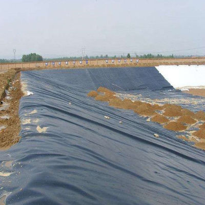 ASTM GM13 Padrão HDPE Geomembrane Liner 0,3 mm 0,5 mm 0,75 mm 1 mm para os mercados de países