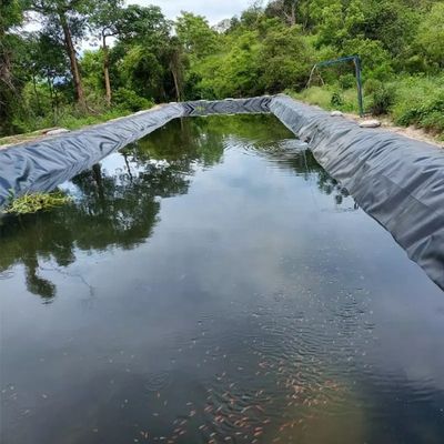 Geomembranas 1 mm 2 mm Impermeável Tanque Revestimento de barragem Piscina Piscina Peixe Estação de cultivo de peixe Liner HDPE