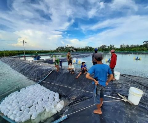 Geomembranas 1 mm 2 mm Impermeável Tanque Revestimento de barragem Piscina Piscina Peixe Estação de cultivo de peixe Liner HDPE
