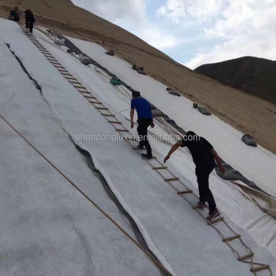 Densidade Polietileno Plástico Geotextil e Geonet 3D Rede de drenagem composta Ideal