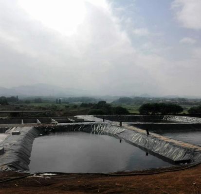 Geomembrana verde para tanque de lago artificial impermeável revestimento de barragem HDPE personalizado