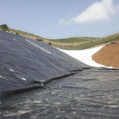 Geomembrana verde para tanque de lago artificial impermeável revestimento de barragem HDPE personalizado