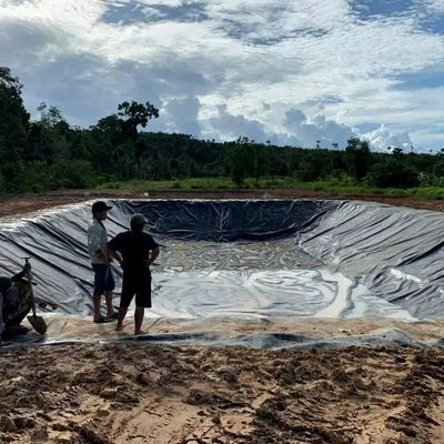 1.0mm Geomembrana de HDPE para lagoa de peixes Largura 1-6m Geomembrana preta resistente a produtos químicos