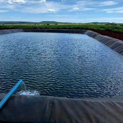 1.0mm Geomembrana de HDPE para lagoa de peixes Largura 1-6m Geomembrana preta resistente a produtos químicos
