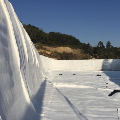 50 m/100 m/ Rede de drenagem composta para aterros sanitários CE/ISO9001/ISO14001 Certificado