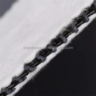 Rede de drenagem composta tridimensional em preto e branco Geonet Hdpe 5 mm Tapete de drenagem Tecido não tecido