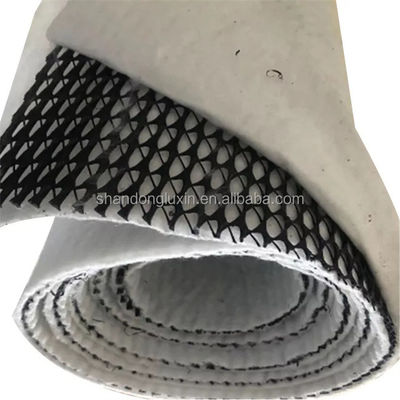 Rede de drenagem composta tridimensional em preto e branco Geonet Hdpe 5 mm Tapete de drenagem Tecido não tecido