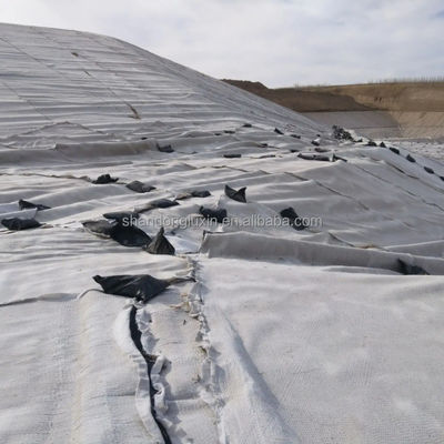 HDPE 3D Barreira de Sal de drenagem Geonet rede geocomposta para drenagem de jardins de estradas de aterros