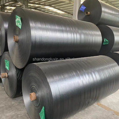 Rolo de folhas de lonas de PE de 50 a 300 gm, com elevada resistência à tração e resistência ao rasgo