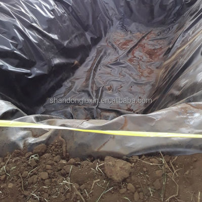 Folha de geomembrana de plástico hidropónico duplo liso de HDPE para aquicultura
