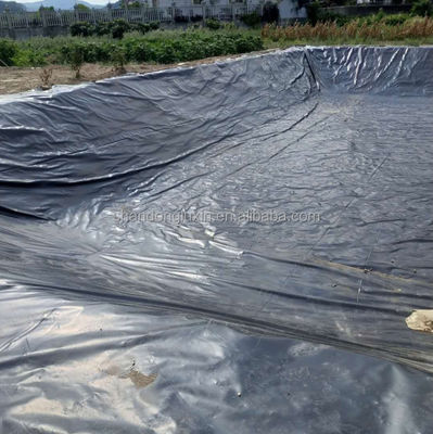 Folha de geomembrana de plástico hidropónico duplo liso de HDPE para aquicultura
