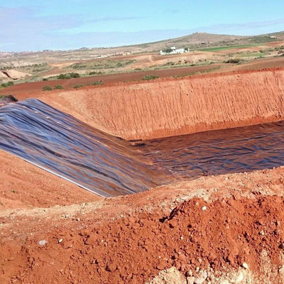 Aquacultura Industrial Poço Liner Geomembrana 0.3mm-3.0mm para Peixe Tanque Camarão Poço Farm