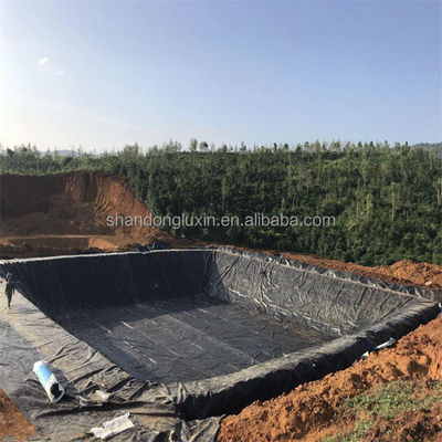 Estilo de Design Industrial HDPE Geomembrane Liner 0,5 mm 1,0 mm 1,2 mm 2 mm para Piscina de Peixe