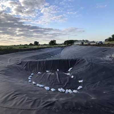 500 microns Revestimentos de barragem Preços Geomembrana HDPE Impermeável para Peixe Peixe Peixe Peixe Peixe Peixe Peixe Peixe Peixe Peixe Peixe Peixe Peixe Peixe Peixe Peixe Peixe Peixe Peixe Peixe Peixe Peixe Peixe Peixe Peixe Peixe Peixe Peixe Peixe Peixe Peixe Peixe Peixe Peixe Peixe Peixe Peixe Peixe Peixe Peixe Peixe Peixe Peixe