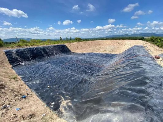 500 microns Revestimentos de barragem Preços Geomembrana HDPE Impermeável para Peixe Peixe Peixe Peixe Peixe Peixe Peixe Peixe Peixe Peixe Peixe Peixe Peixe Peixe Peixe Peixe Peixe Peixe Peixe Peixe Peixe Peixe Peixe Peixe Peixe Peixe Peixe Peixe Peixe Peixe Peixe Peixe Peixe Peixe Peixe Peixe Peixe Peixe Peixe Peixe Peixe Peixe Peixe