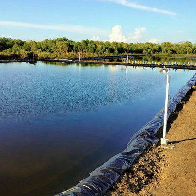 0.3mm-3.0mm Espessura Geomembrana de HDPE para barragem Liner Reservatório de mineração Laguna de fazenda de camarão