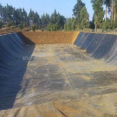 Piscina de peixe Duplo liso HDPE Liner de lago 1mm 2mm Geomembrana Lata de plástico à prova d'água