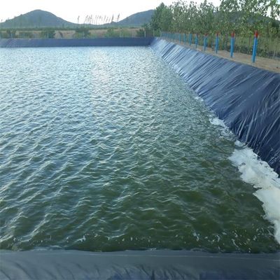 Geomembrana de superfície dupla lisa de HDPE para revestimento de lago de peixes 0,5 mm 1 mm 0,75 mm 1,5 mm 2 mm