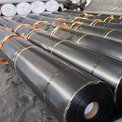 Geomembrana brilhante em folha de HDPE de 0,5 mm preta ou personalizada para soluções de criação de camarão