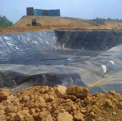 Geomembrana brilhante em folha de HDPE de 0,5 mm preta ou personalizada para soluções de criação de camarão