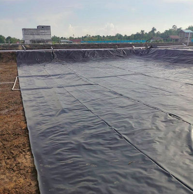 LLDPE Geomembranas Forro de piscina durável para aquicultura Peixe Peixe Piscina de plástico