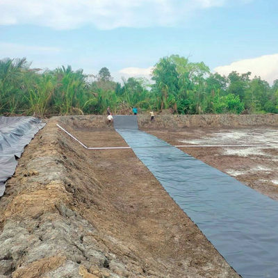 Instalação fácil 2mm HDPE Geomembrane Liner para jantar em lago de criação de camarão de peixe