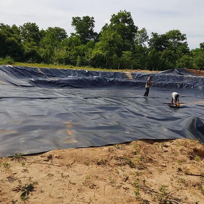 Instalação fácil 2mm HDPE Geomembrane Liner para jantar em lago de criação de camarão de peixe