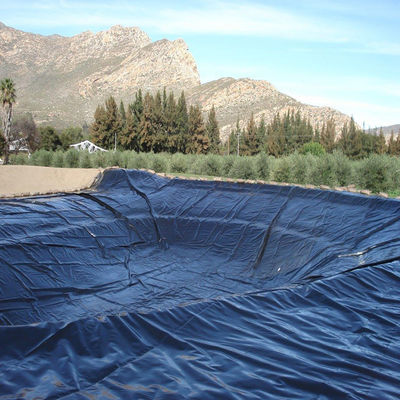 Desenho industrial 0,5 mm HDPE Geoliner liso de lago de peixe para aquicultura