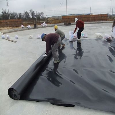 0.5mm 1mm 1.5mm 2mm Geomembrana de HDPE para revestimentos de lago de peixe em estilo de design industrial