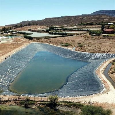 0.5mm 1mm 1.5mm 2mm Geomembrana de HDPE para revestimentos de lago de peixe em estilo de design industrial