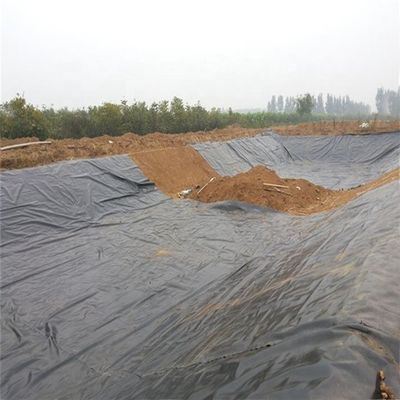 0.5mm 1mm 1.5mm 2mm Geomembrana de HDPE para revestimentos de lago de peixe em estilo de design industrial