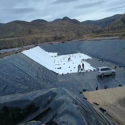 Geomembrana de HDPE de largura de 1 a 8 m para a criação de camarão de peixe, com máxima proteção e eficiência