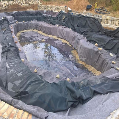 Geomembrana de HDPE de largura de 1 a 8 m para a criação de camarão de peixe, com máxima proteção e eficiência
